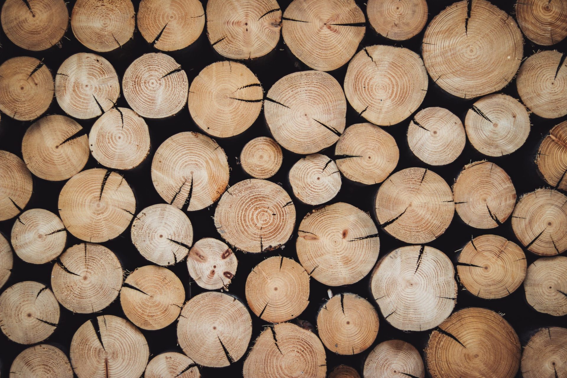 Wood Coat Australia | Sustainably sourced European Oak Engineered Timber Flooring